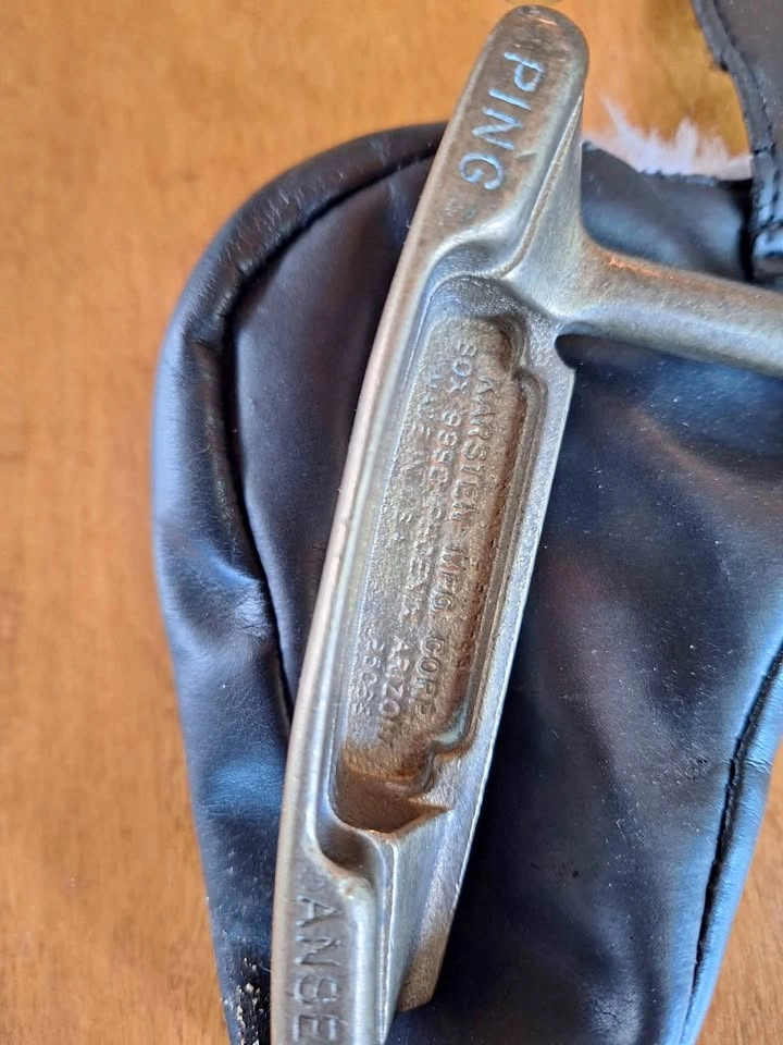 Karsten Ping Anser Putter