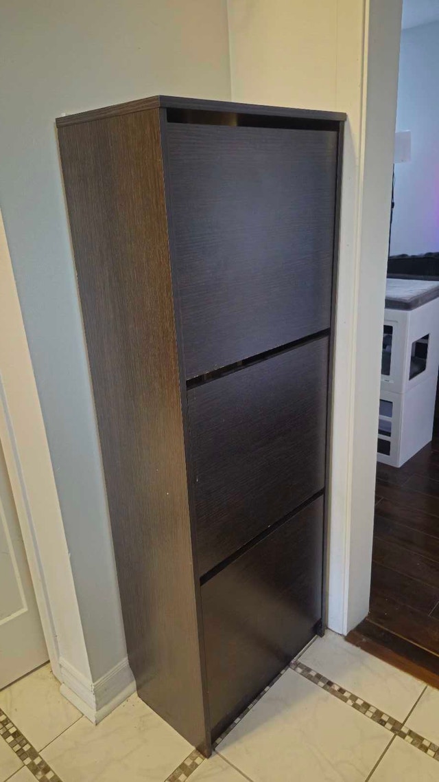 Moving Sale – IKEA BISSA Shoe Cabinet – Black/Brown – $50 OBO