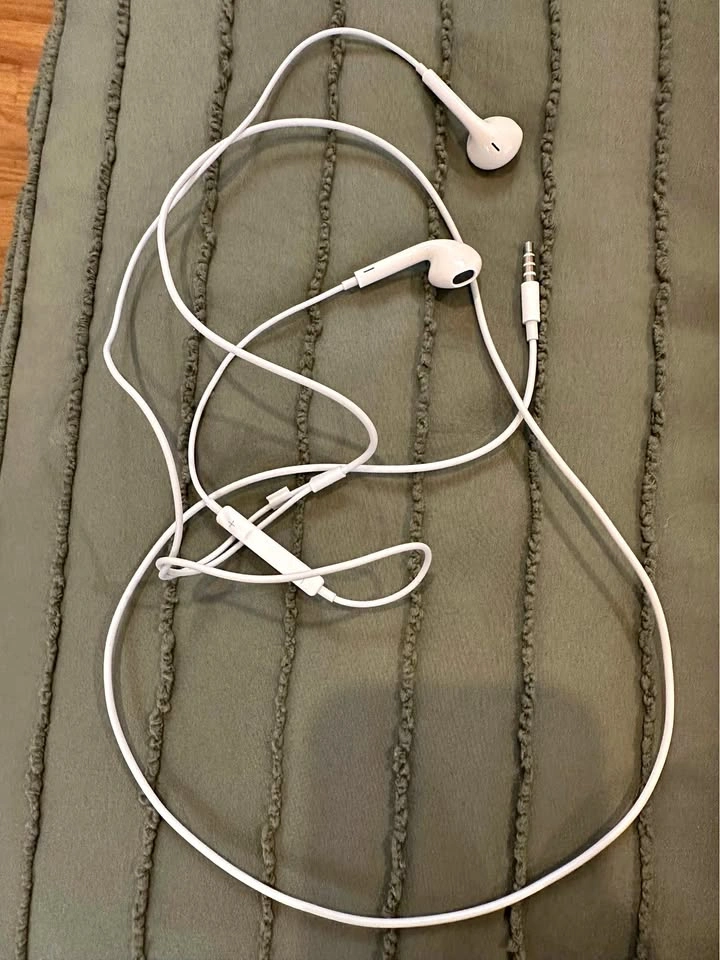 Earphones