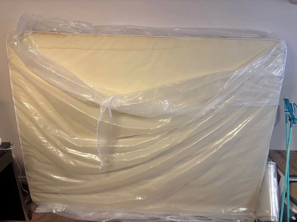 Queen Mattress & Box Spring - photo 3