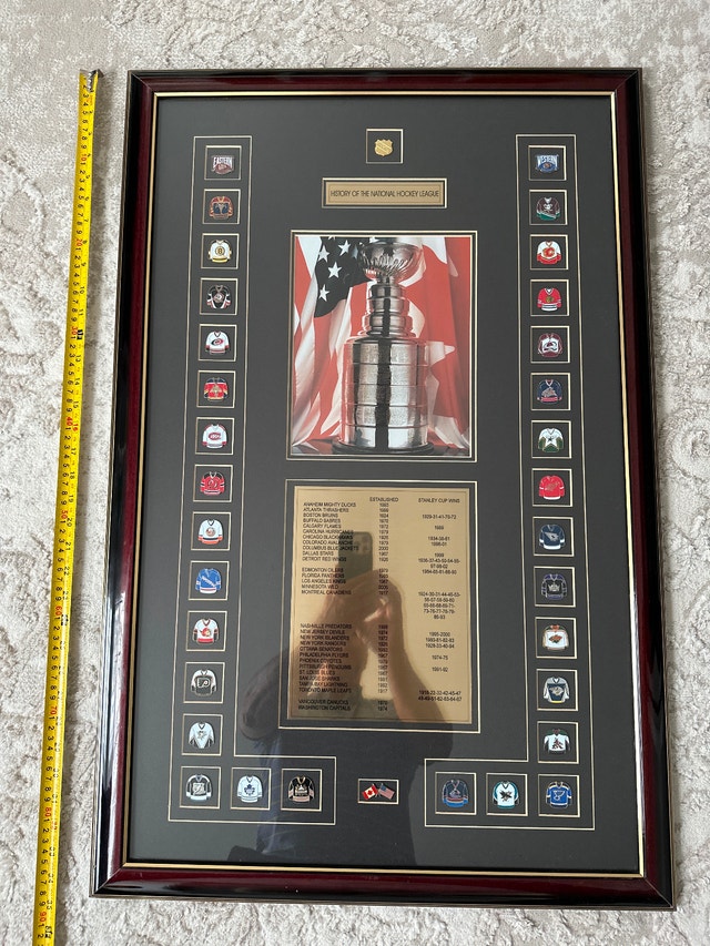 National Hockey League framed display