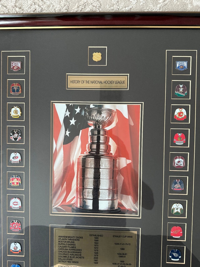 National Hockey League framed display - photo 3