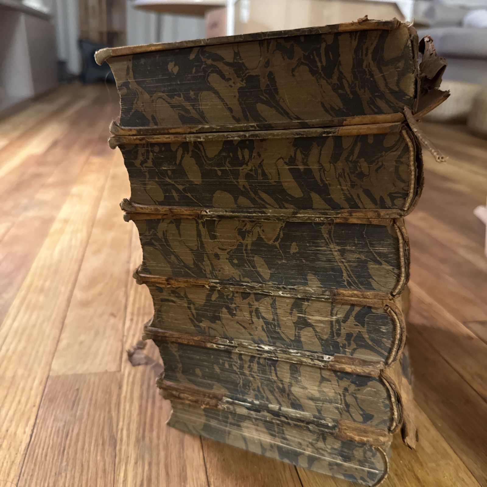 The Spectator; a new edition, carefully revised in six volumes 1 - photo 2