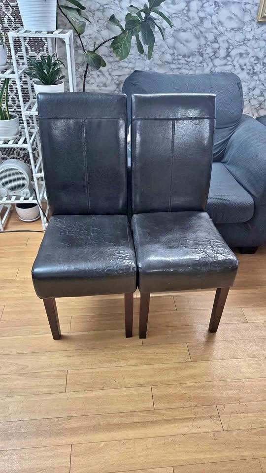 2 Leather Chairs - Modern
