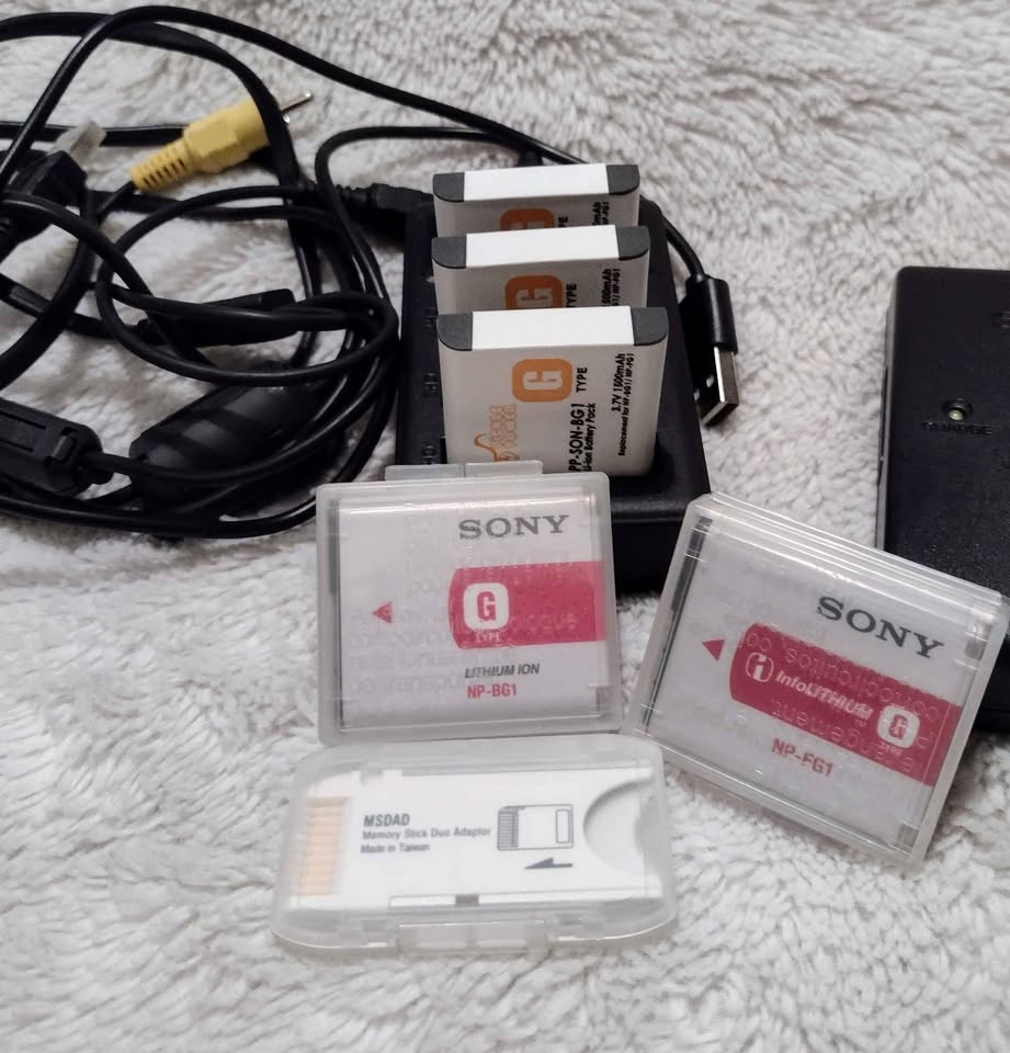Sony Cyber-shot DSC-H10 8.1MP Digital Camera - photo 4