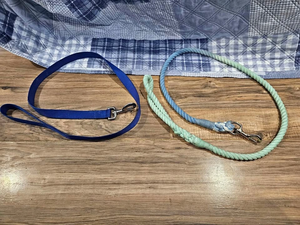 2 Dog Leashes