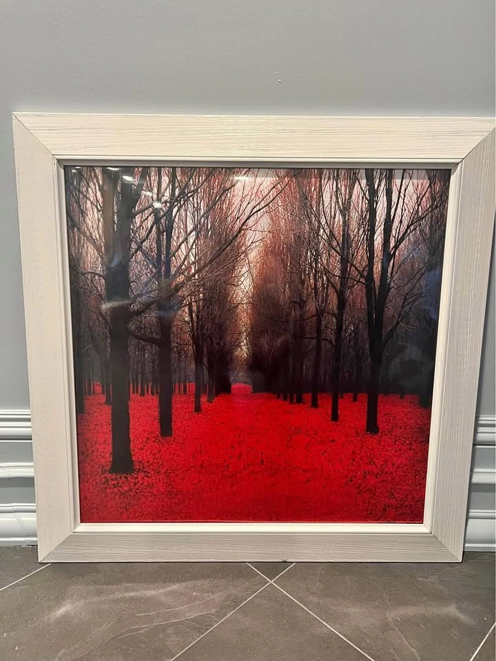 Large Art Photo Print - Red Forrest