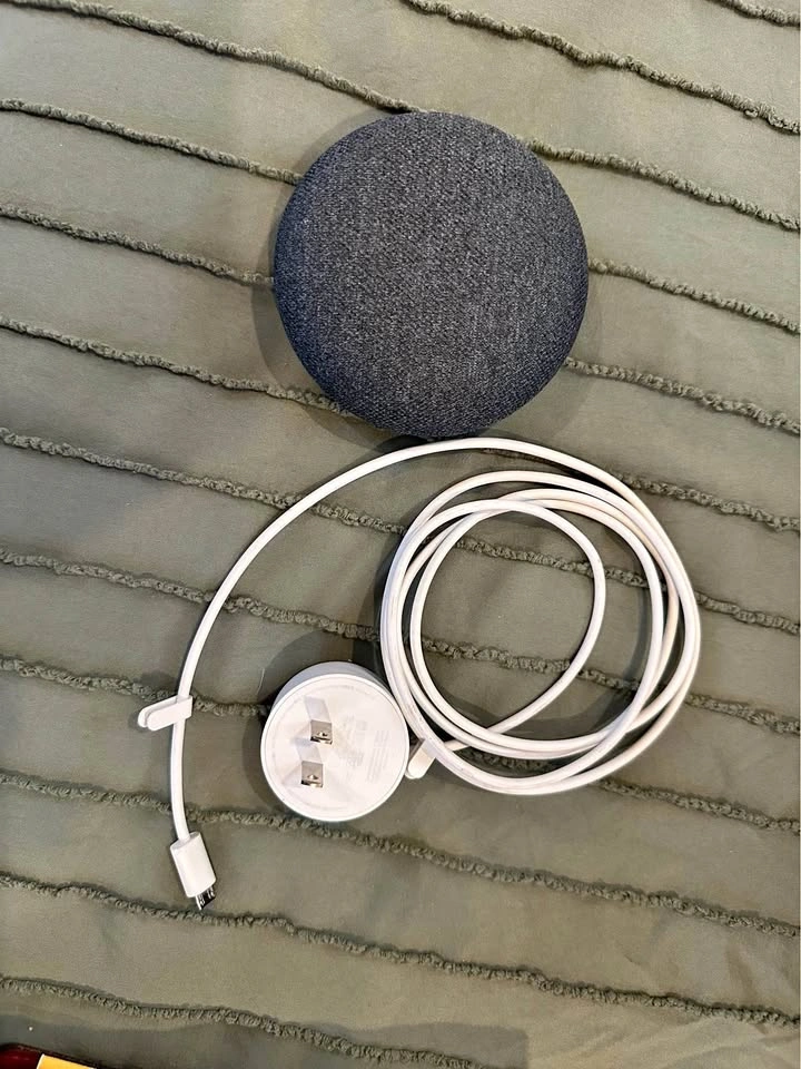 Google Home Mini