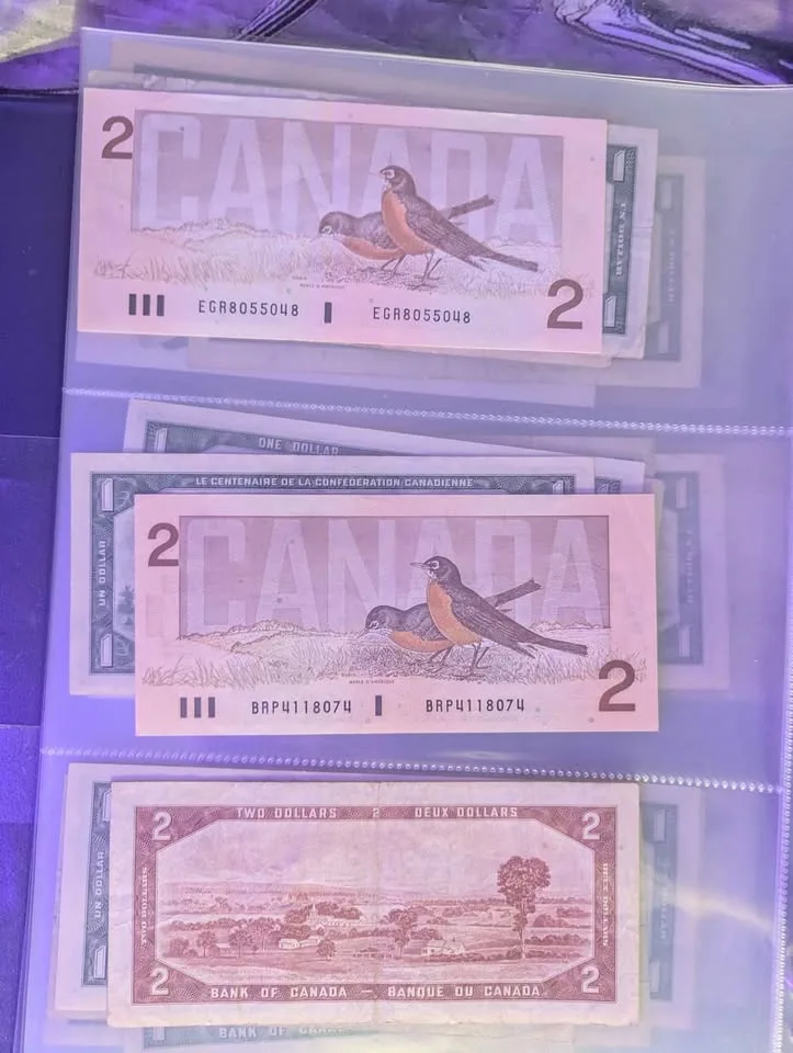 🥕Canadian bank notes image indicator(2)