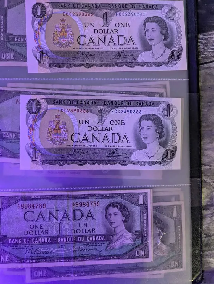 🥕Canadian bank notes image indicator(3)