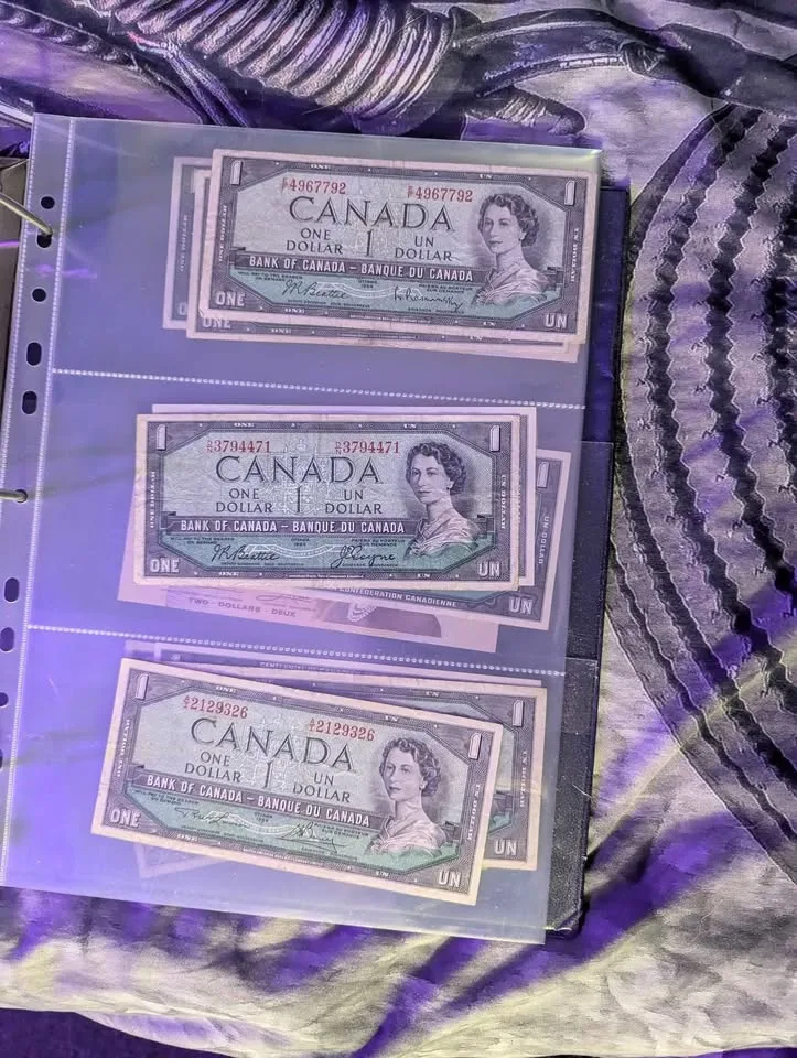 🥕Canadian bank notes image indicator(4)