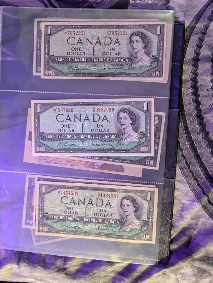 🥕Canadian bank notes image indicator(5)