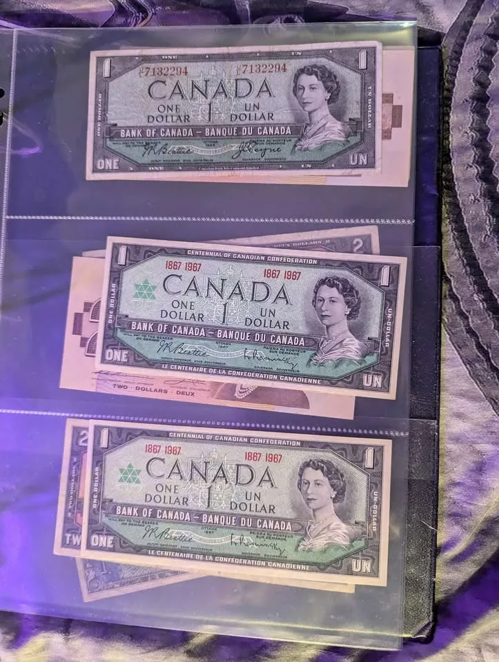🥕Canadian bank notes image indicator(7)