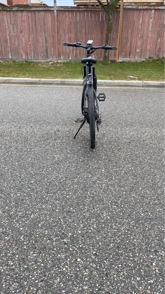 Electric Bike - photo 5