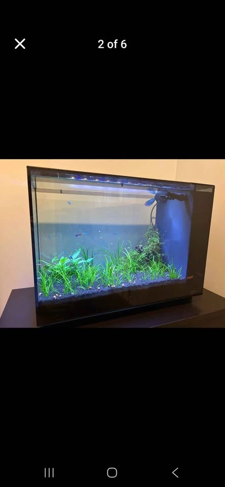 FLUVAL Spec 16 (16 gallon) Aquarium Setup - photo 2