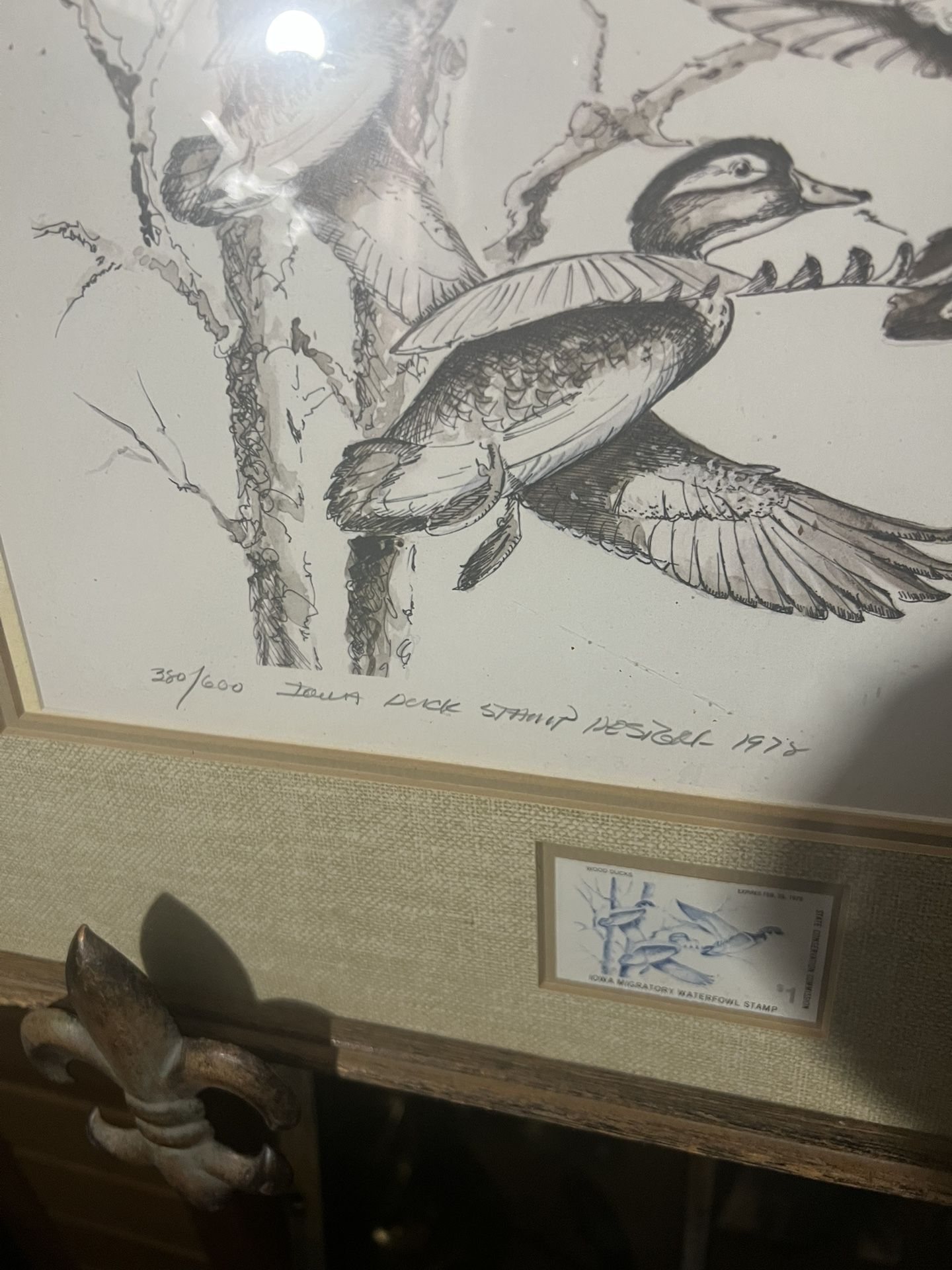 Limited Edition Iowa State Duck Stamp Print - Signed & Numbered - photo 5