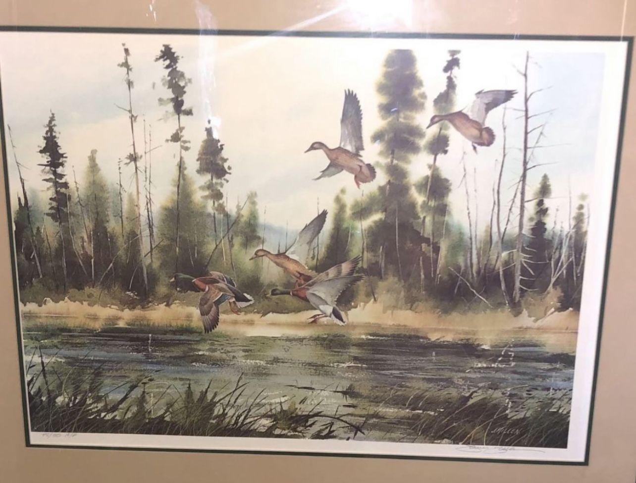 Rare James Killen Mallards/Ducks Artist Proof 45/50 Framed 29'x