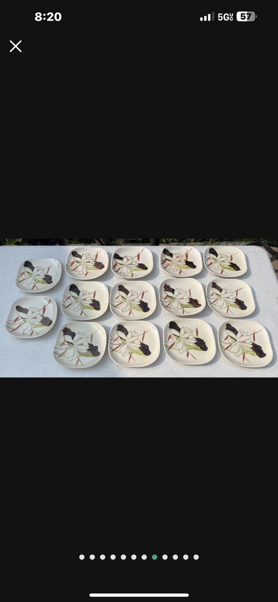 Redwing Lotus Bronze Plates, Butter Dish, Server, Cups & Saucers - photo 4