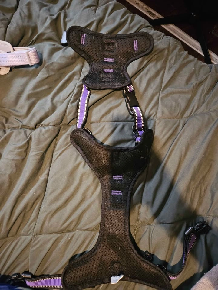 Large Purple Harness - photo 2