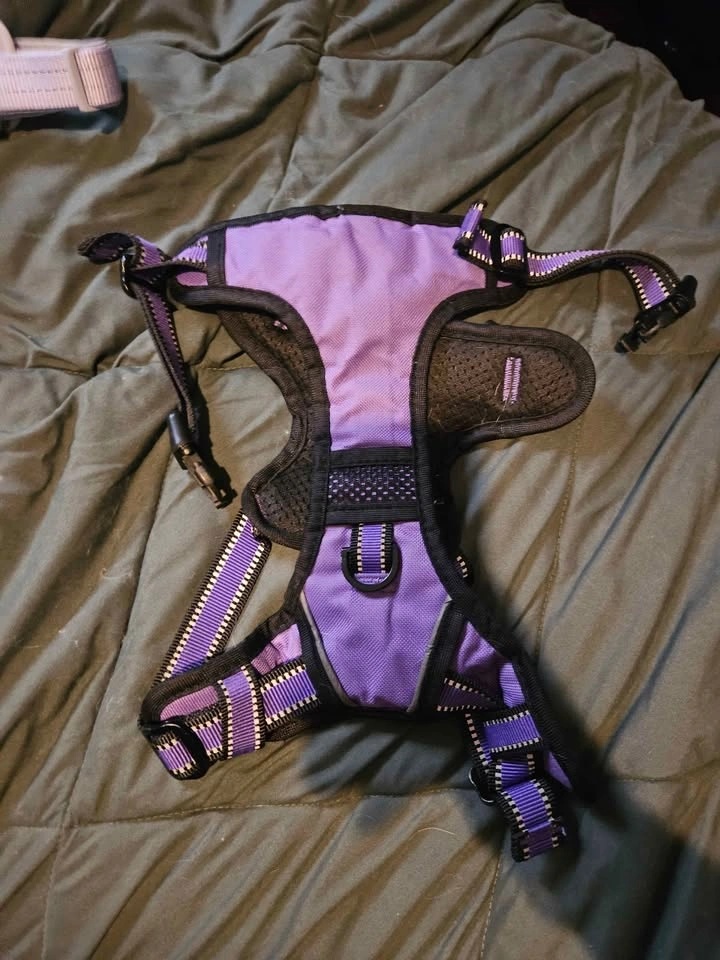 Large Purple Harness - photo 3