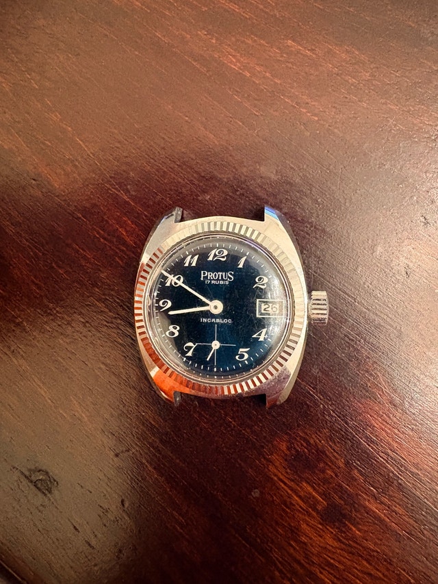 Vintage Protus Watch Head For Sale!