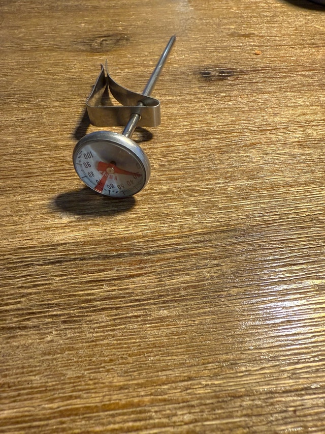 Taylor Thermometer