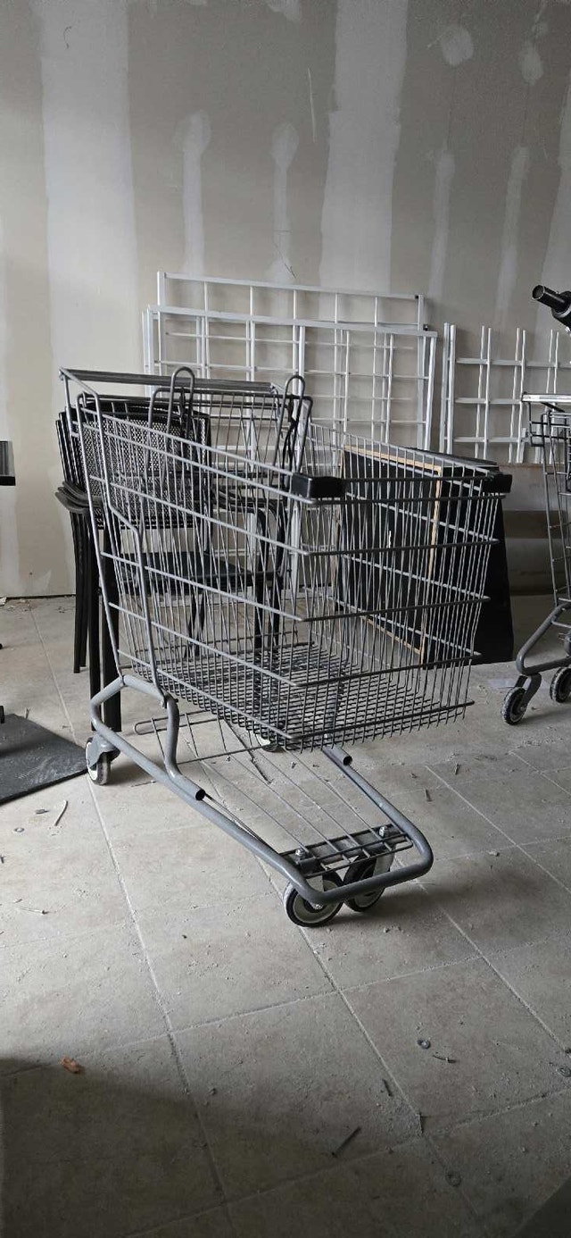SHOPPING CARTS FOR SALE - photo 2