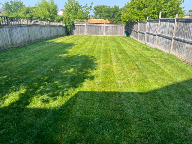 grass cutting