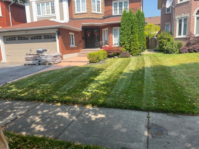 grass cutting - photo 2