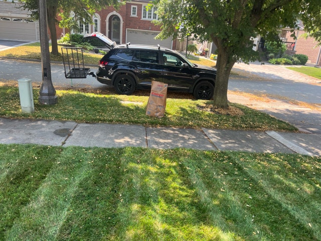 grass cutting - photo 3