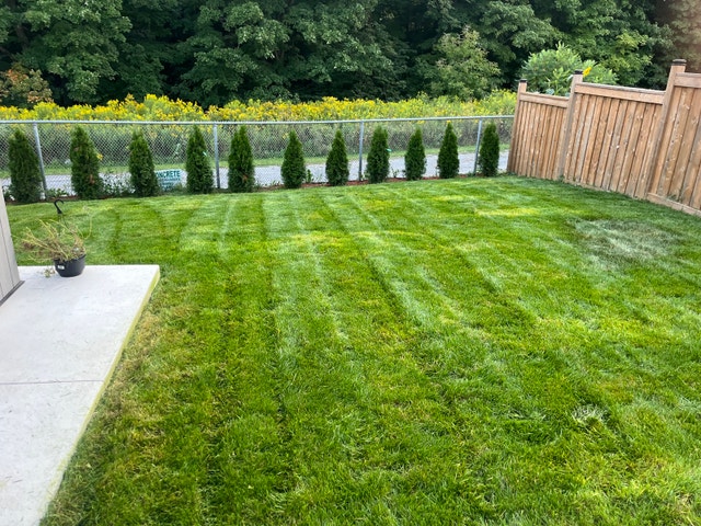 grass cutting - photo 4