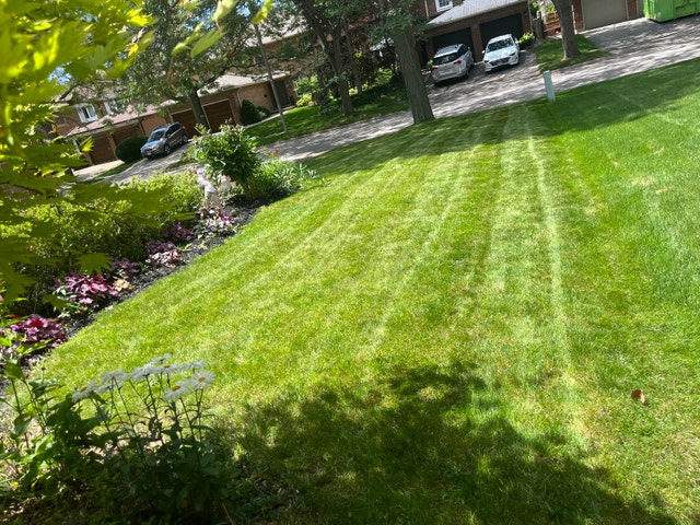 grass cutting - photo 5