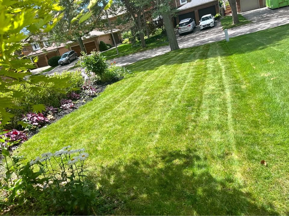 Grass Cutting Service
