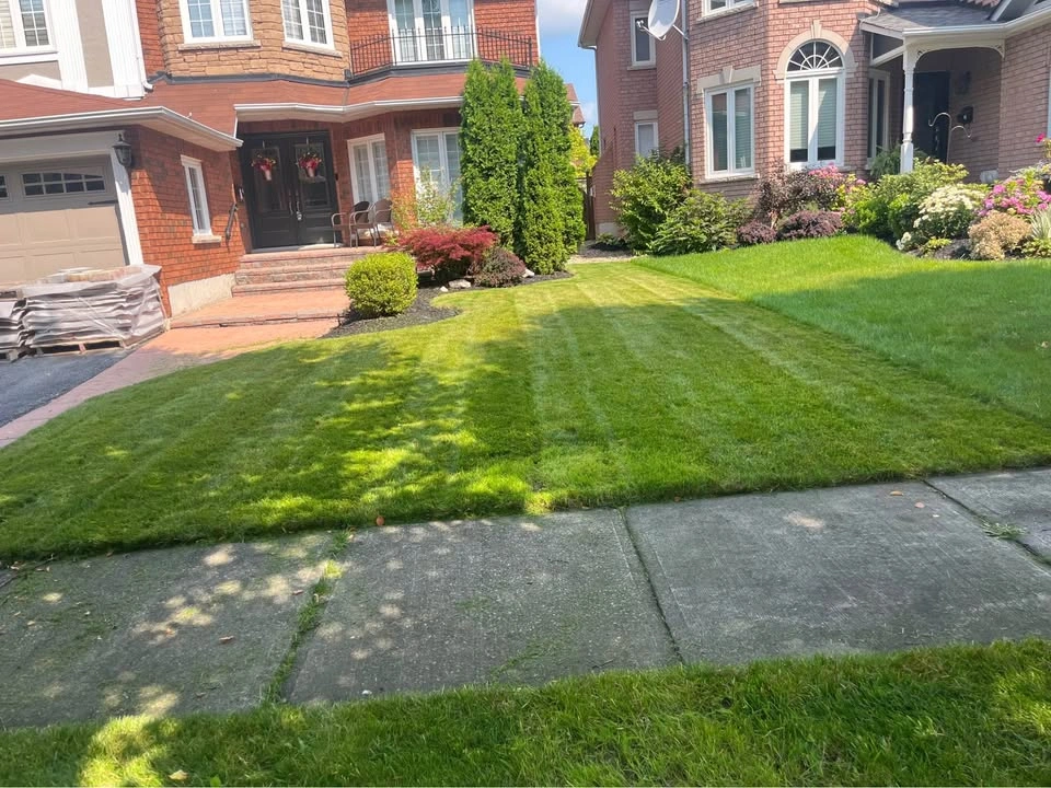 Grass Cutting Service - photo 2