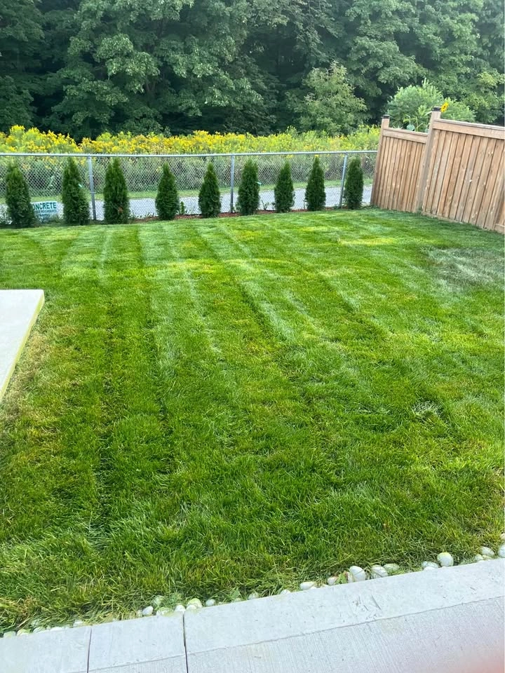 Grass Cutting Service - photo 3