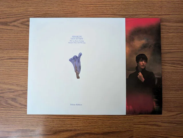 Sharon Van Etten - We've Been Going About This All Wrong Vinyl image indicator(3)