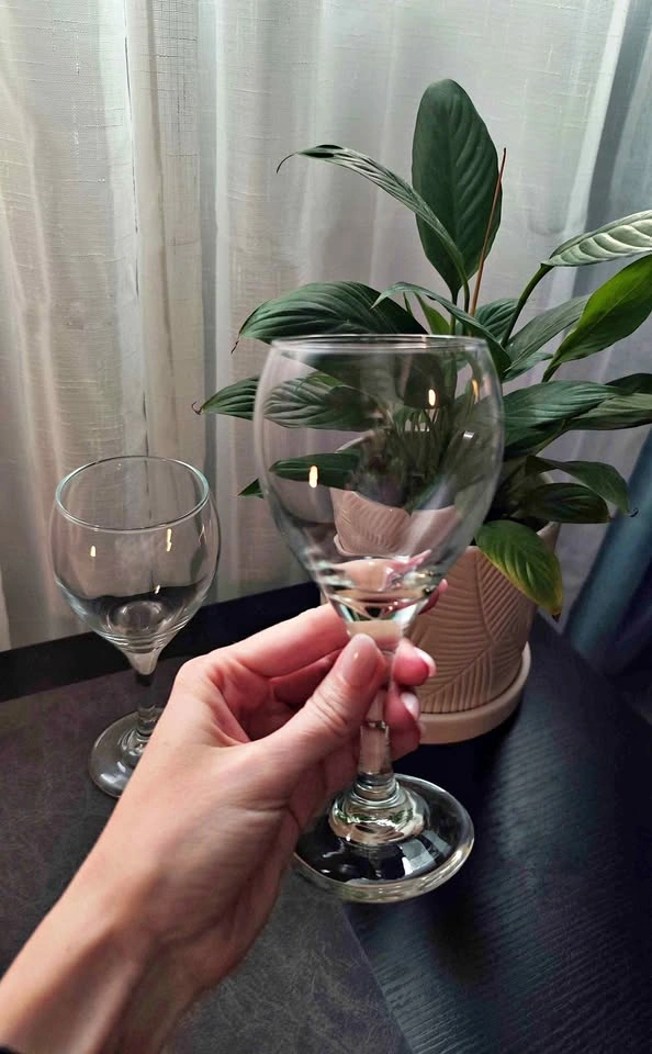 12 Wine Glasses Libbey