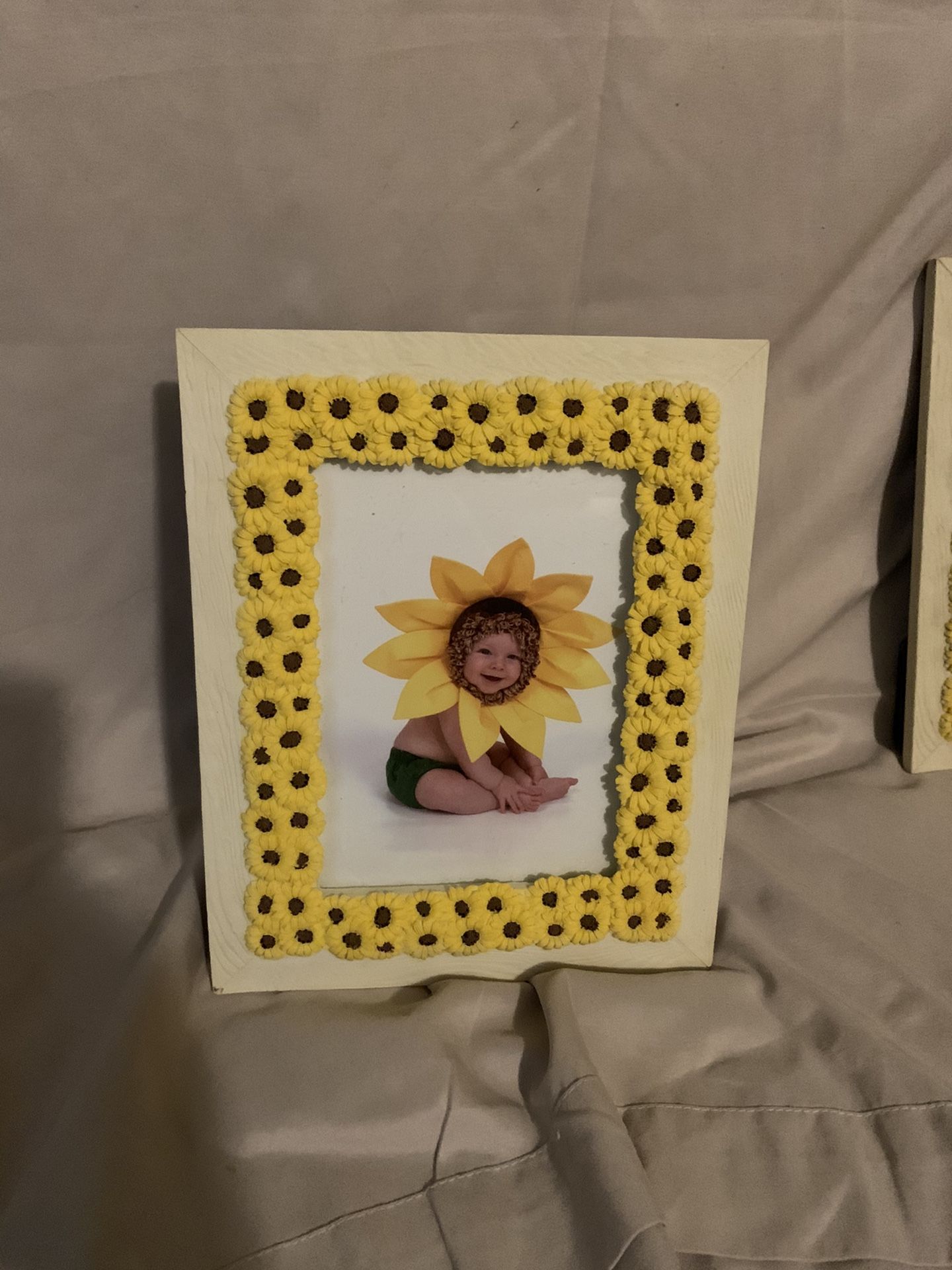 Sunflower Frames - photo 2