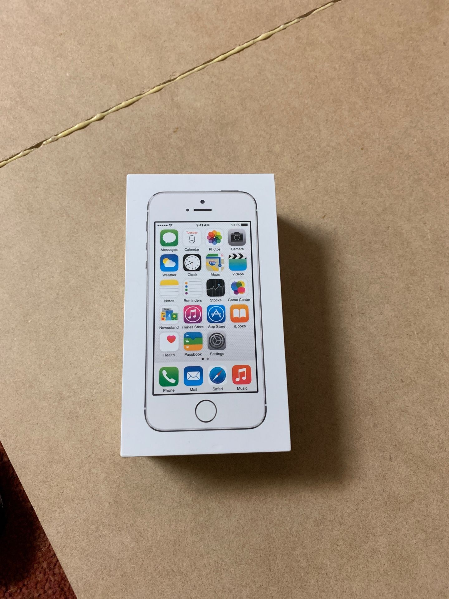 iPhone 5S Box and Inserts