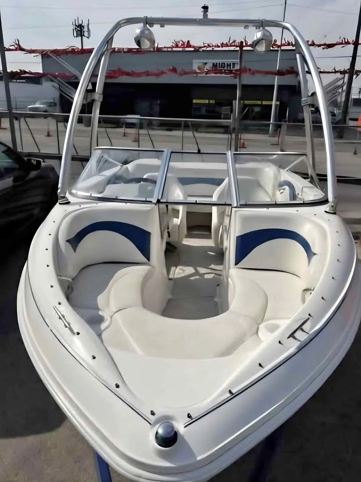 2009 Larson 19.5 Ski & Wake Boat - Low Hours