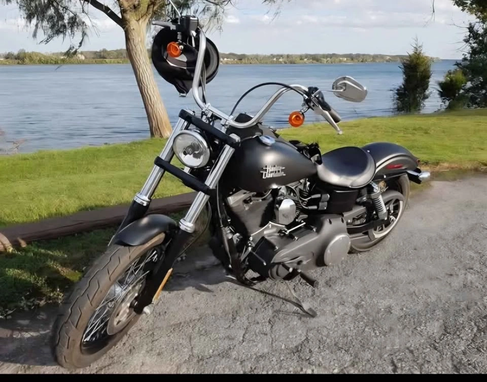 2015 Harley-Davidson Dyna Wide Glide - photo 2