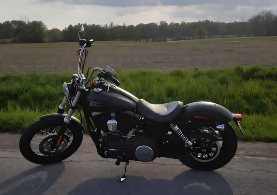 2015 Harley-Davidson Dyna Wide Glide - photo 4