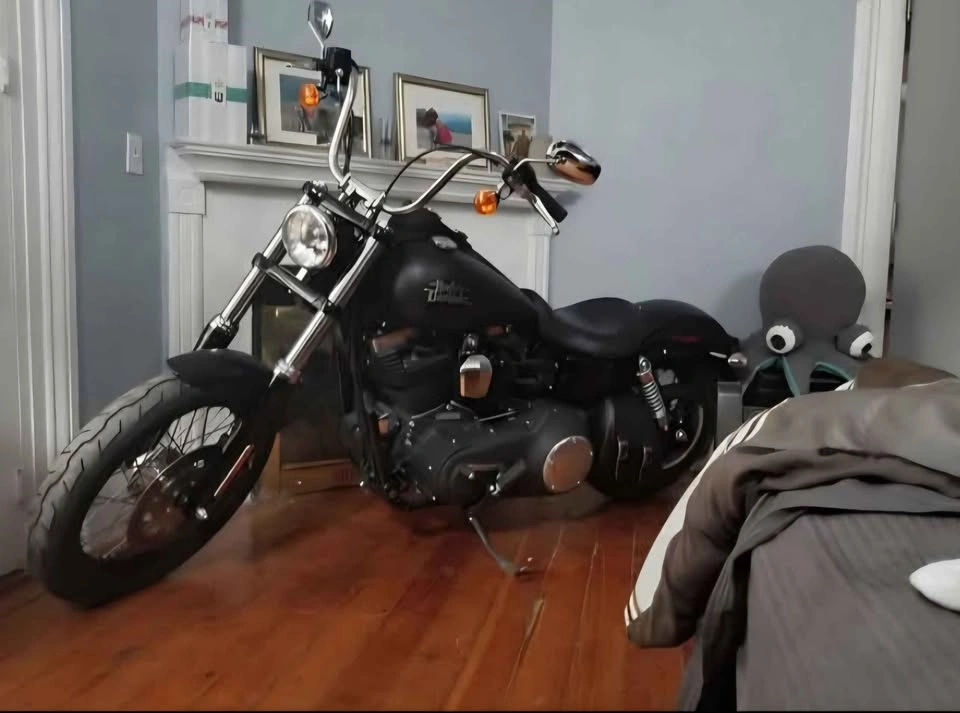 2015 Harley-Davidson Dyna Wide Glide - photo 5