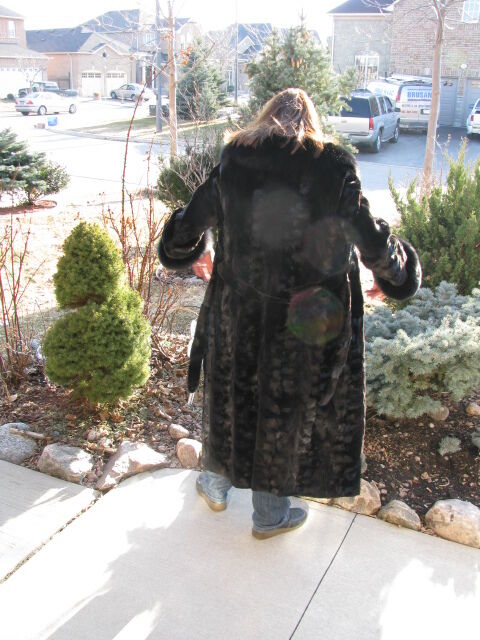 Bella Bicchi Blackglama Mink Coat - Size 12-14 - photo 2