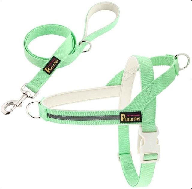 Plutus Pet No Pull Dog Harness - Teal, Medium