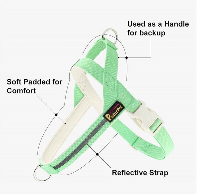Plutus Pet No Pull Dog Harness - Teal, Medium - photo 2