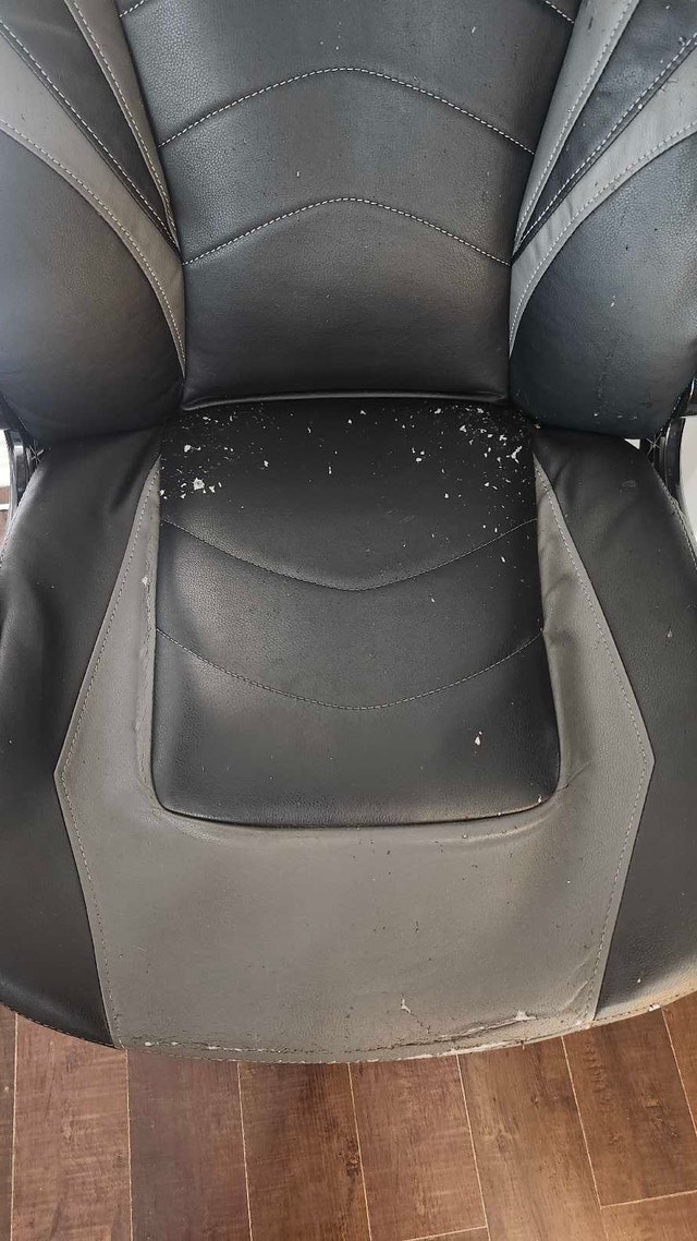 Free Computer Chair - photo 3