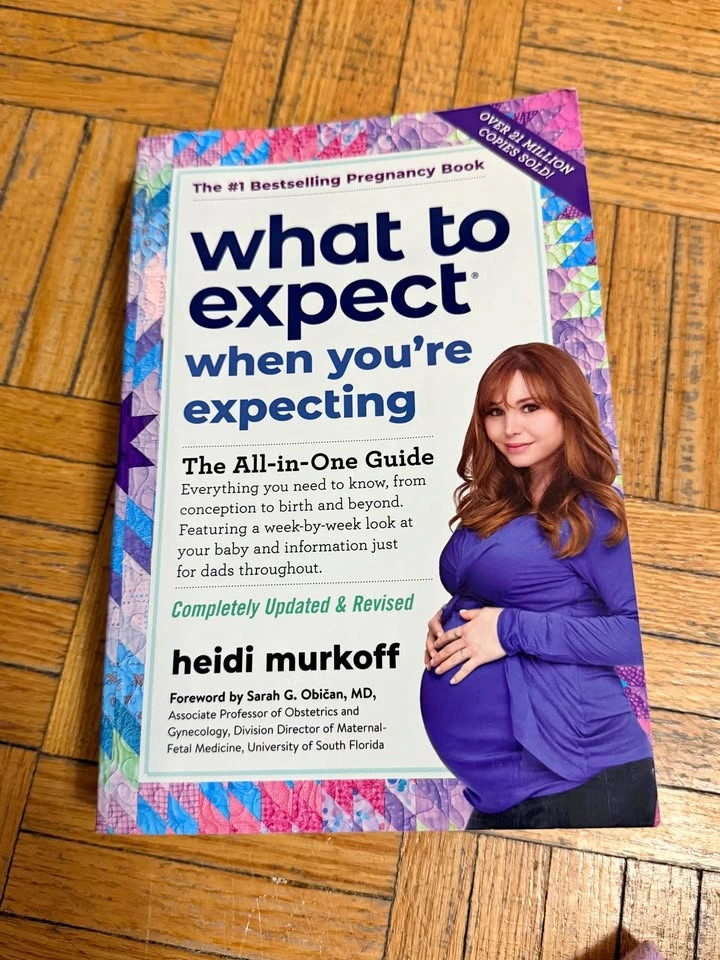 Pregnancy book