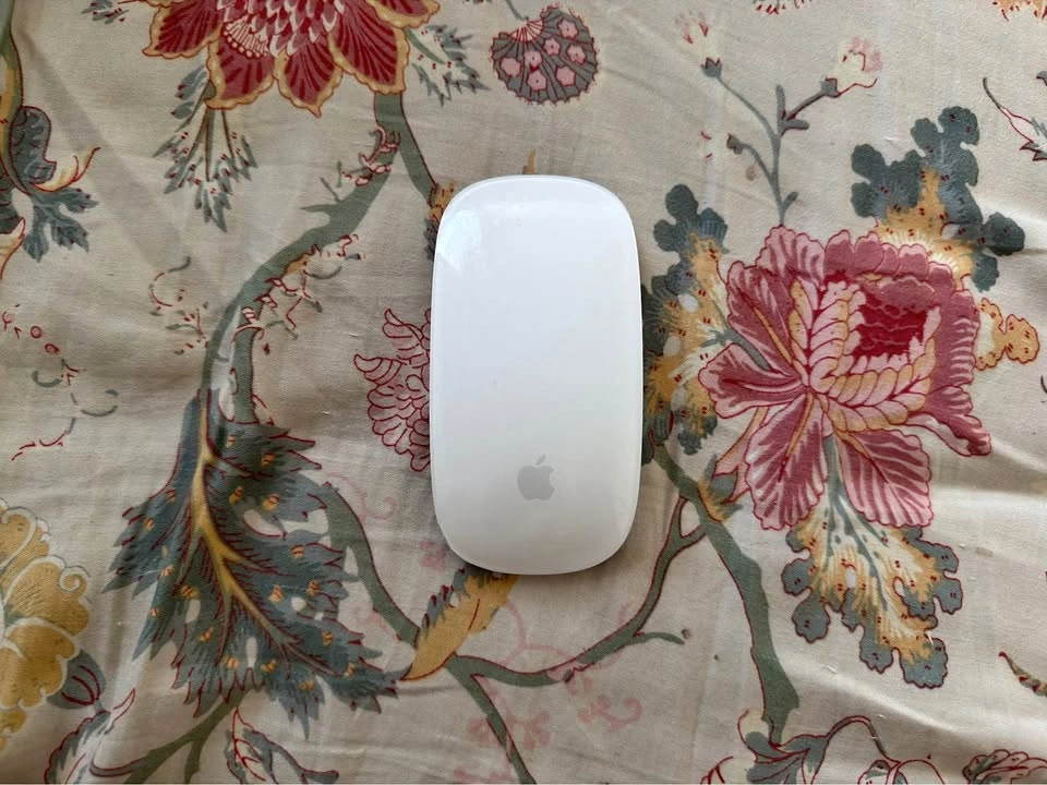 Apple Magic Mouse