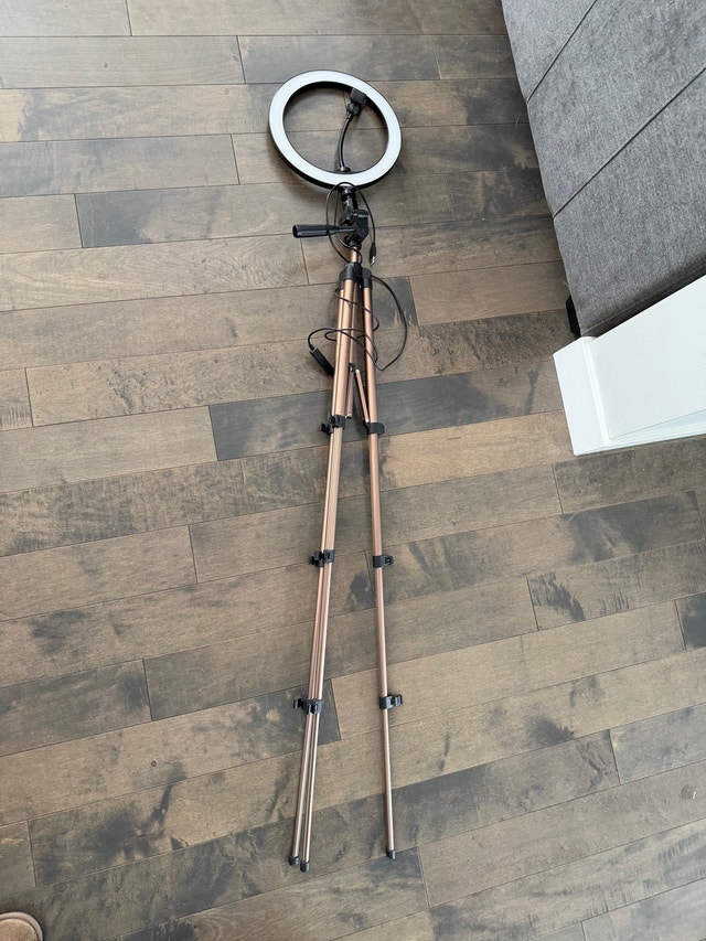 PEYOU 10" Selfie Ring Light with Tripod Stand - photo 3